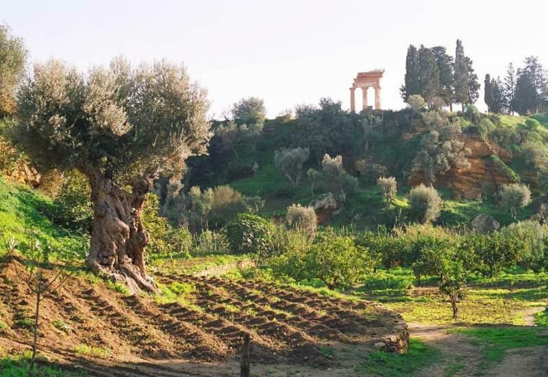 Dimora Dei Greci Apartment Agrigento Exterior foto
